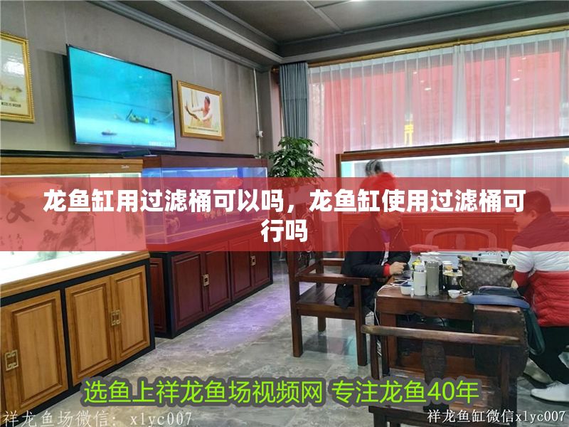 龍魚缸用過濾桶可以嗎，龍魚缸使用過濾桶可行嗎