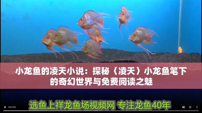 小龍魚的凌天小說：探秘〈凌天〉小龍魚筆下的奇幻世界與免費閱讀之魅