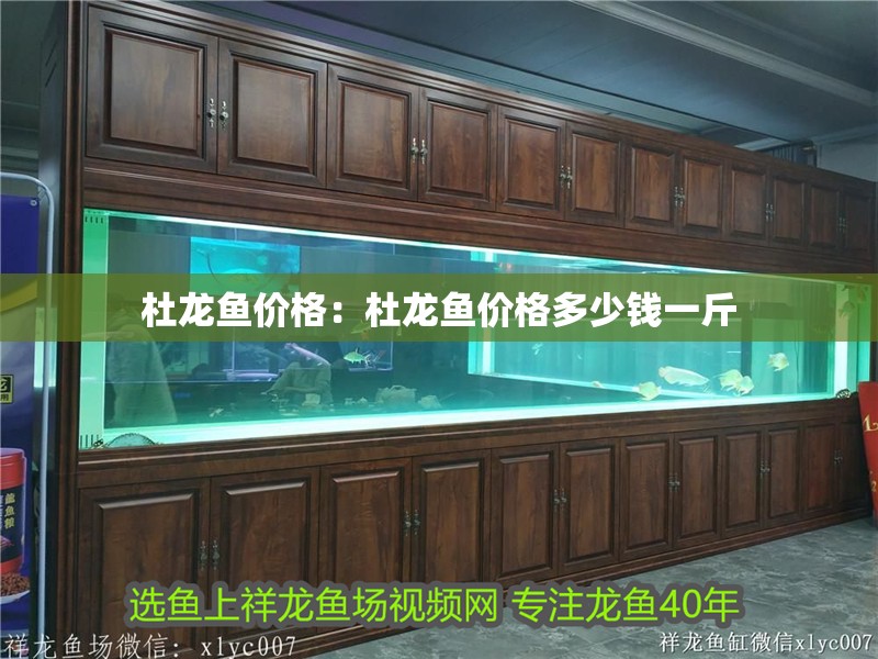 杜龍魚價格：杜龍魚價格多少錢一斤