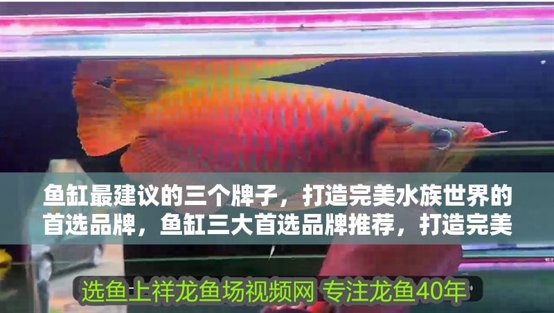 魚缸最建議的三個牌子，打造完美水族世界的首選品牌，魚缸三大首選品牌推薦，打造完美水族世界的頂級之選