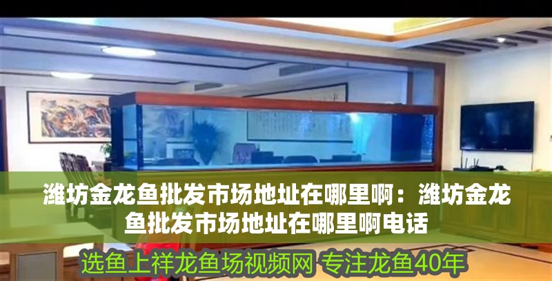 濰坊金龍魚批發市場地址在哪里啊：濰坊金龍魚批發市場地址在哪里啊電話