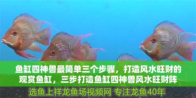 魚缸四神獸最簡單三個步驟，打造風(fēng)水旺財?shù)挠^賞魚缸，三步打造魚缸四神獸風(fēng)水旺財陣