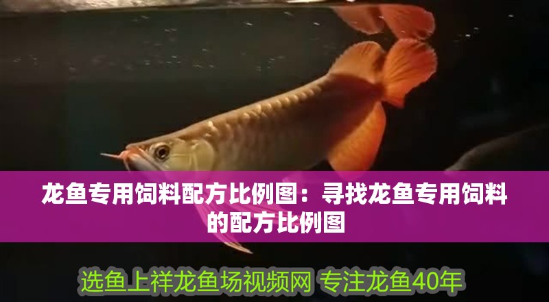 龍魚專用飼料配方比例圖：尋找龍魚專用飼料的配方比例圖