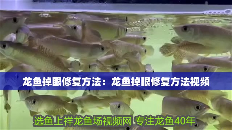 龍魚掉眼修復方法：龍魚掉眼修復方法視頻