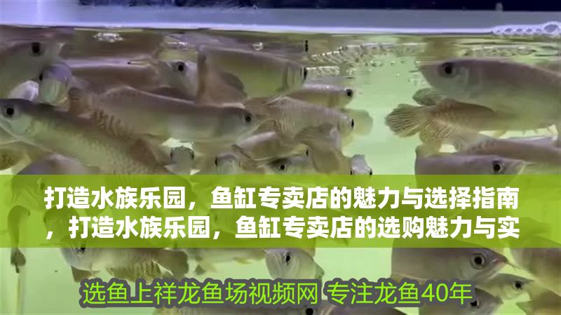 打造水族樂園，魚缸專賣店的魅力與選擇指南，打造水族樂園，魚缸專賣店的選購魅力與實用指南