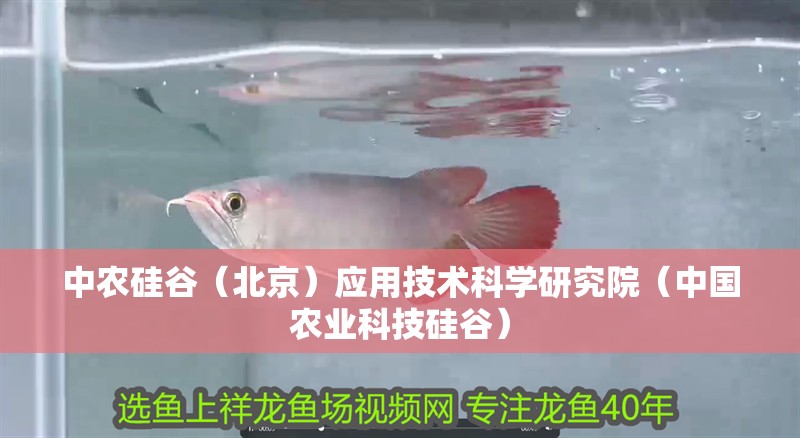 中農硅谷（北京）應用技術科學研究院（中國農業科技硅谷）