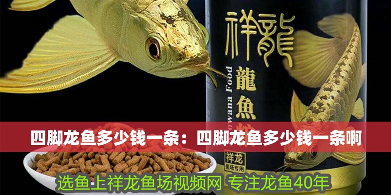 四腳龍魚多少錢一條：四腳龍魚多少錢一條啊