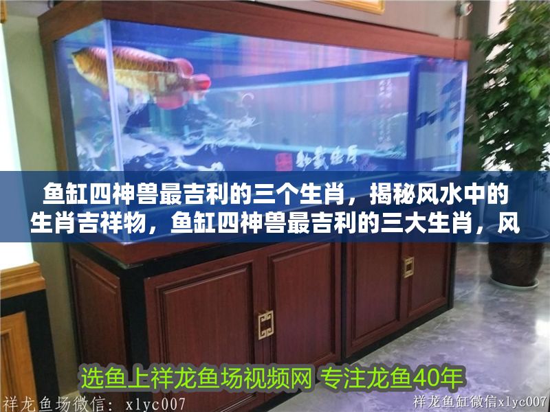魚缸四神獸最吉利的三個生肖，揭秘風水中的生肖吉祥物，魚缸四神獸最吉利的三大生肖，風水吉祥物大揭秘
