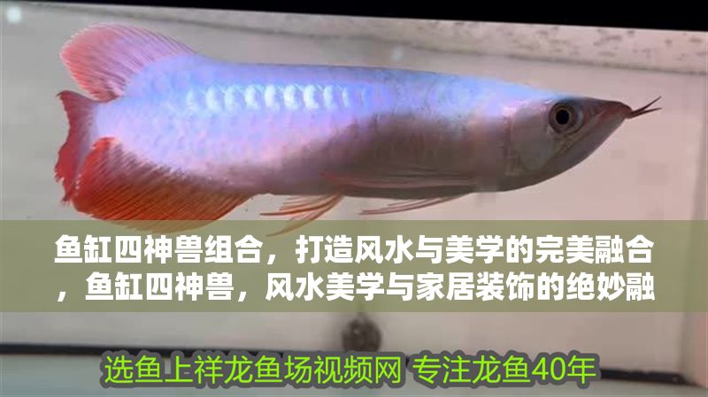魚缸四神獸組合，打造風水與美學的完美融合，魚缸四神獸，風水美學與家居裝飾的絕妙融合
