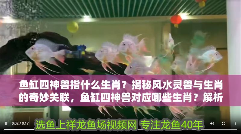 魚缸四神獸指什么生肖？揭秘風(fēng)水靈獸與生肖的奇妙關(guān)聯(lián)，魚缸四神獸對應(yīng)哪些生肖？解析風(fēng)水靈獸與生肖的神秘聯(lián)系