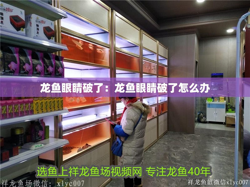龍魚眼睛破了：龍魚眼睛破了怎么辦