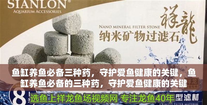 魚缸養魚必備三種藥，守護愛魚健康的關鍵，魚缸養魚必備的三種藥，守護愛魚健康的關鍵