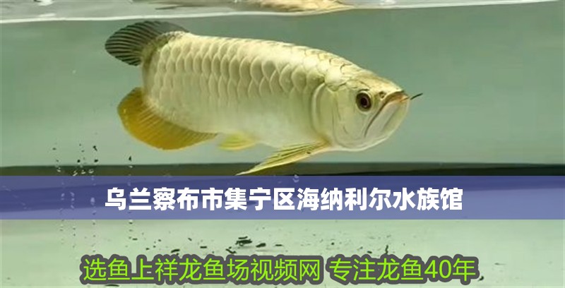 烏蘭察布市集寧區(qū)海納利爾水族館