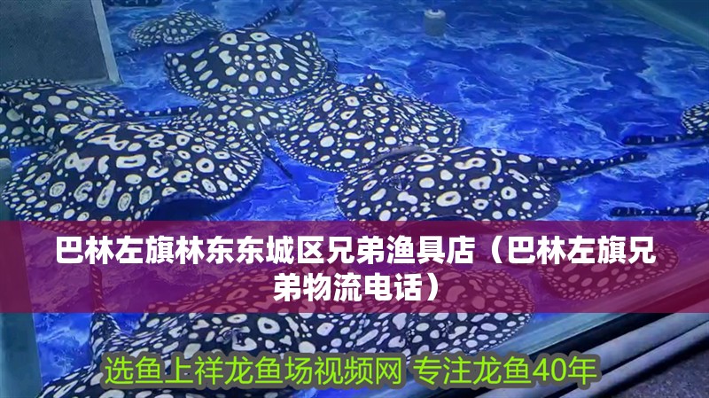 巴林左旗林東東城區兄弟漁具店（巴林左旗兄弟物流電話）