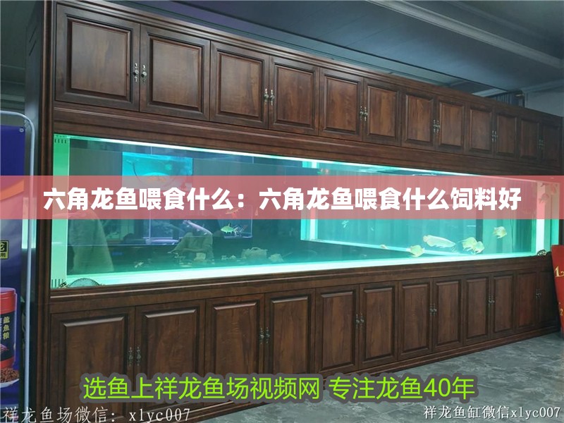 博特拉大學博士好畢業嗎女生(博特拉大學碩士好畢業嗎)