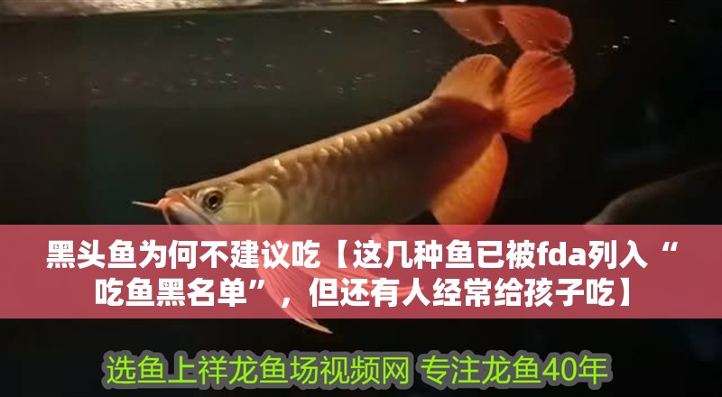 黑頭魚為何不建議吃【這幾種魚已被fda列入“吃魚黑名單”，但還有人經(jīng)常給孩子吃】