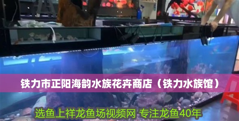 鐵力市正陽海韻水族花卉商店（鐵力水族館）