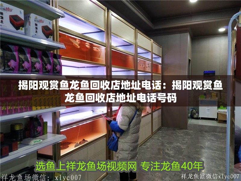 揭陽觀賞魚龍魚回收店地址電話：揭陽觀賞魚龍魚回收店地址電話號(hào)碼