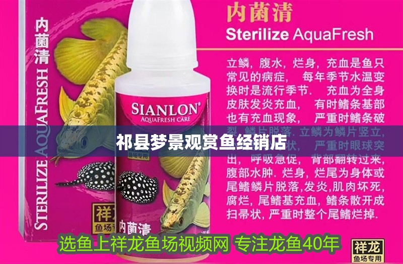 祁縣夢景觀賞魚經(jīng)銷店