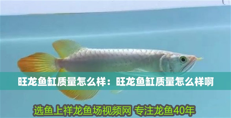旺龍魚缸質量怎么樣：旺龍魚缸質量怎么樣啊