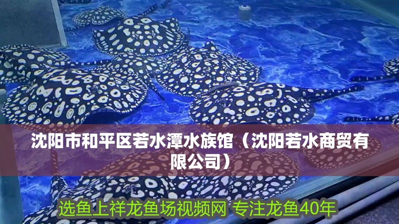 沈陽市和平區若水潭水族館（沈陽若水商貿有限公司）