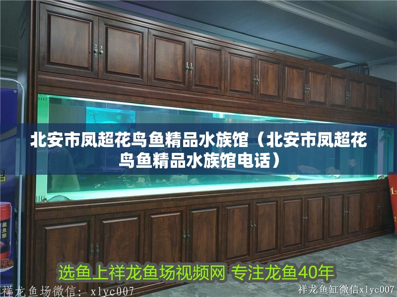 北安市鳳超花鳥魚精品水族館（北安市鳳超花鳥魚精品水族館電話）
