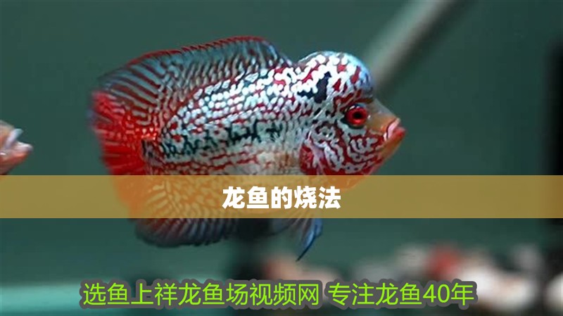 龍魚的燒法