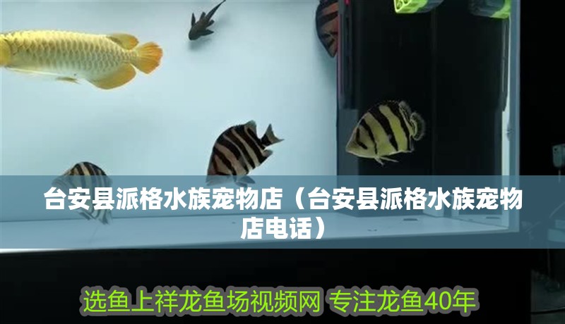 臺(tái)安縣派格水族寵物店（臺(tái)安縣派格水族寵物店電話）