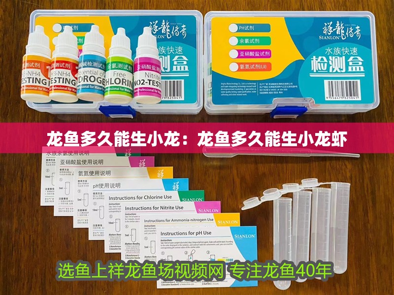 龍魚(yú)多久能生小龍：龍魚(yú)多久能生小龍蝦