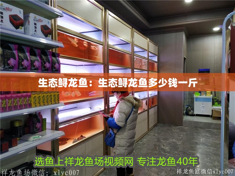 生態鱘龍魚：生態鱘龍魚多少錢一斤