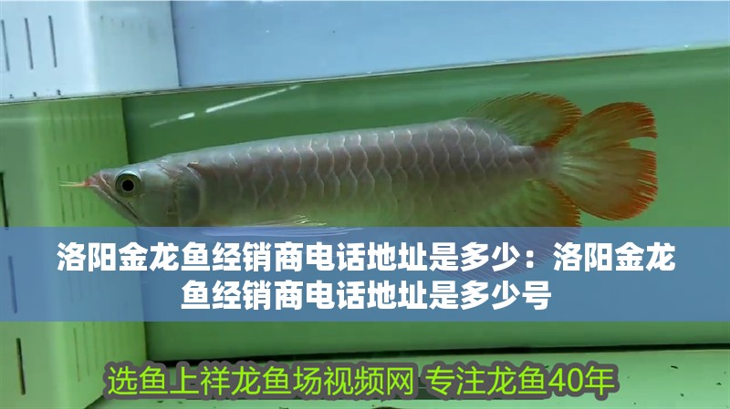 紅龍魚(yú)變色過(guò)程圖解說(shuō)明