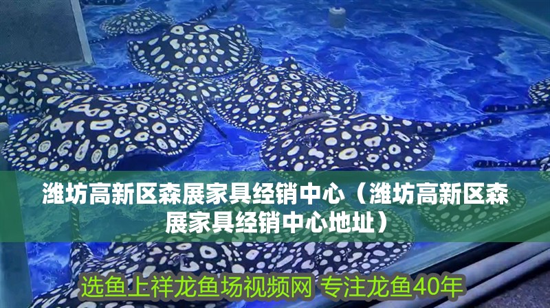 濰坊高新區森展家具經銷中心（濰坊高新區森展家具經銷中心地址）