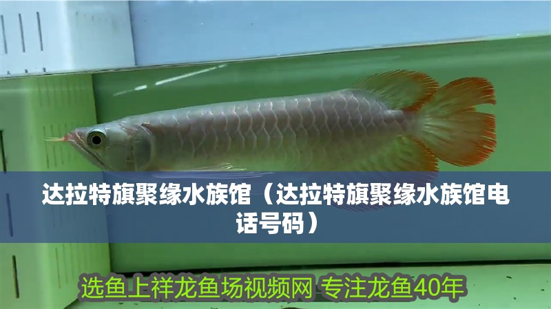 達(dá)拉特旗聚緣水族館（達(dá)拉特旗聚緣水族館電話號(hào)碼）