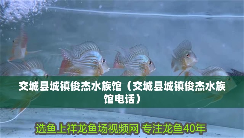 交城縣城鎮俊杰水族館（交城縣城鎮俊杰水族館電話）