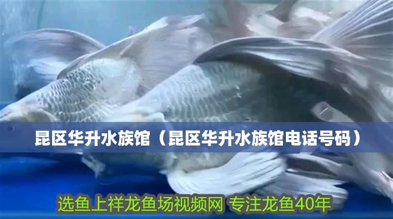 昆區(qū)華升水族館（昆區(qū)華升水族館電話號碼）