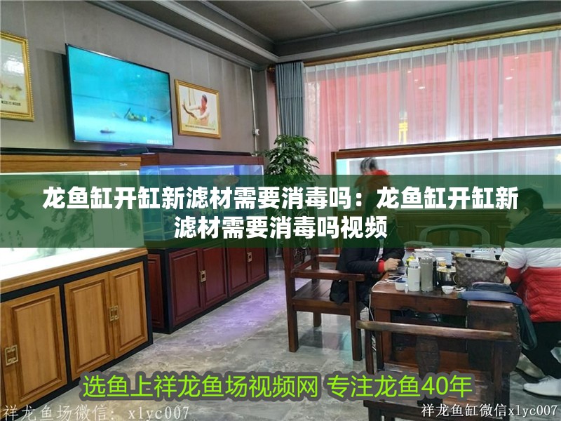龍魚缸開缸新濾材需要消毒嗎：龍魚缸開缸新濾材需要消毒嗎視頻