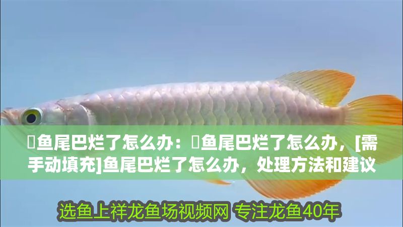 魟魚尾巴爛了怎么辦：魟魚尾巴爛了怎么辦，[需手動填充]魚尾巴爛了怎么辦，處理方法和建議