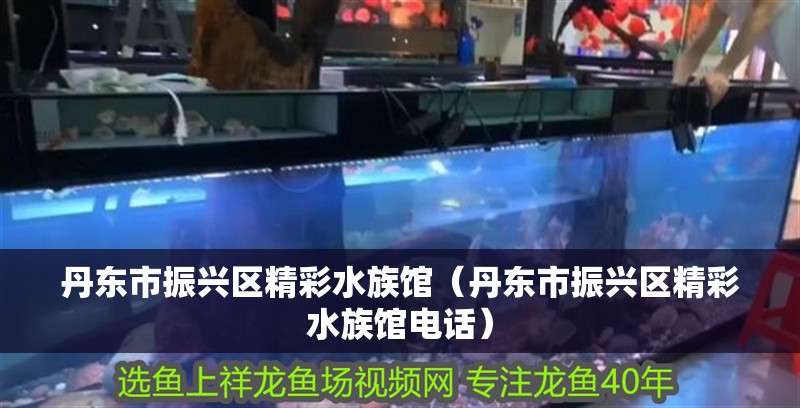 丹東市振興區精彩水族館（丹東市振興區精彩水族館電話）