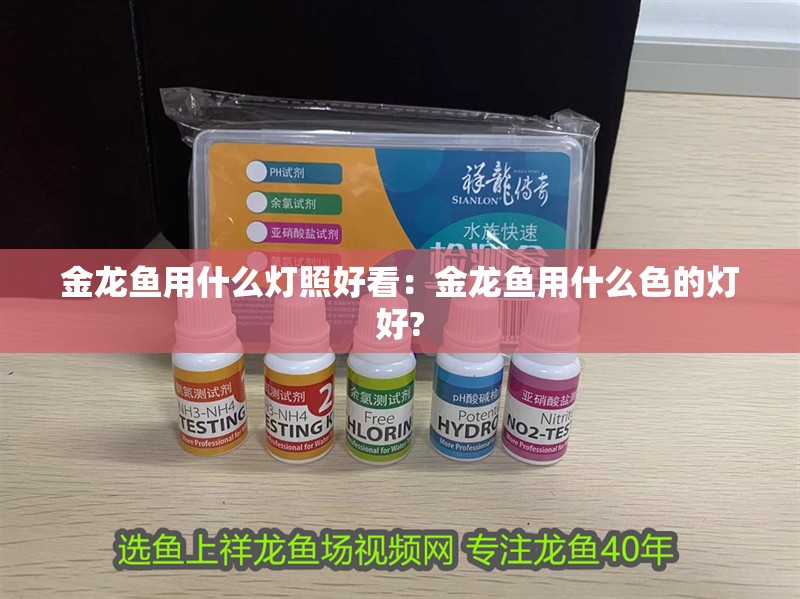 金龍魚用什么燈照好看：金龍魚用什么色的燈好?
