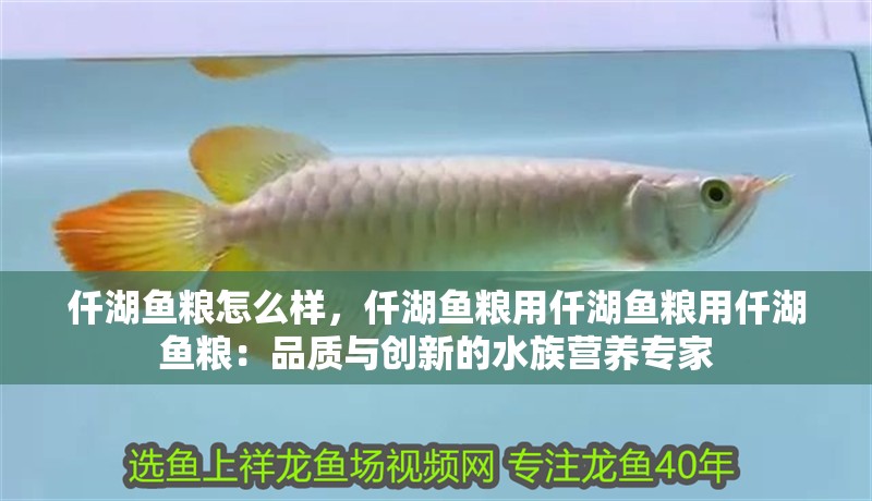 仟湖魚糧怎么樣，仟湖魚糧用仟湖魚糧用仟湖魚糧：品質與創新的水族營養專家