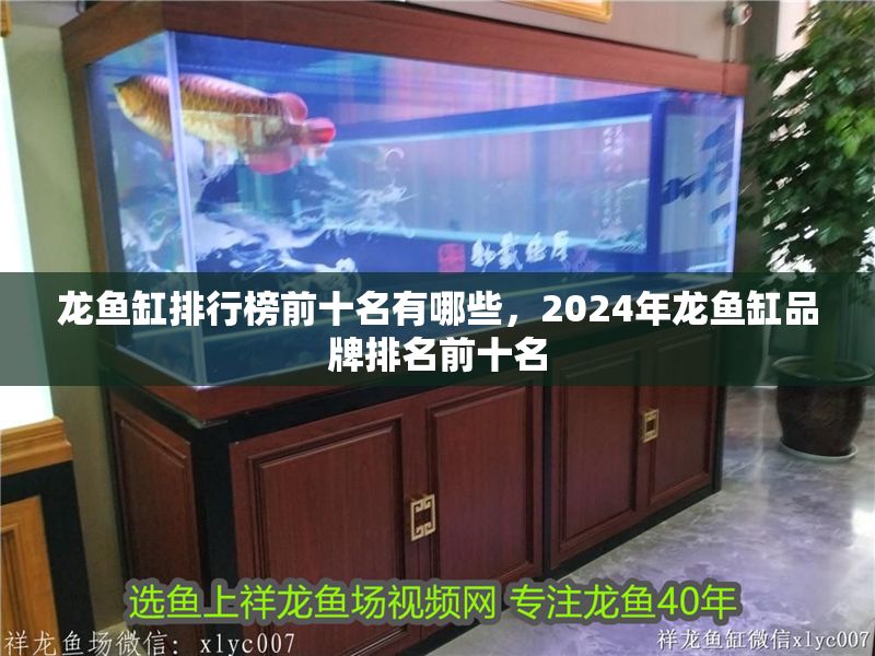 龍魚(yú)缸排行榜前十名有哪些，2024年龍魚(yú)缸品牌排名前十名 龍魚(yú)缸排行榜前十名有哪些，2024年龍魚(yú)缸品牌排名前十名 魚(yú)缸百科 第2張