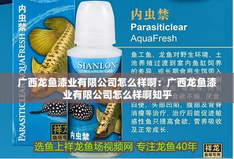 廣西龍魚漆業(yè)有限公司怎么樣啊：廣西龍魚漆業(yè)有限公司怎么樣啊知乎