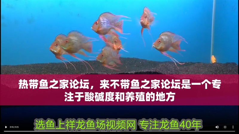 熱帶魚之家論壇，來不帶魚之家論壇是一個專注于酸堿度和養殖的地方