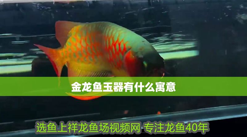 金龍魚玉器有什么寓意