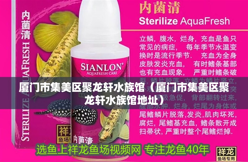 廈門市集美區(qū)聚龍軒水族館（廈門市集美區(qū)聚龍軒水族館地址）