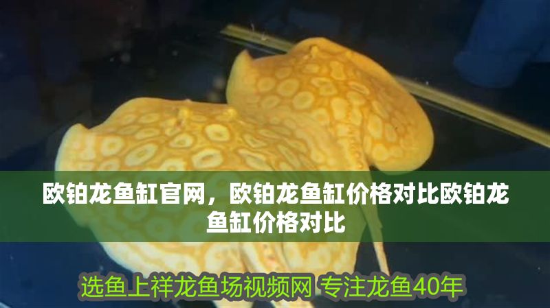 歐鉑龍魚缸官網，歐鉑龍魚缸價格對比歐鉑龍魚缸價格對比