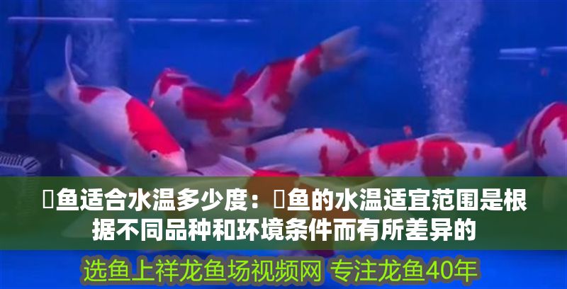 魟魚適合水溫多少度：魟魚的水溫適宜范圍是根據(jù)不同品種和環(huán)境條件而有所差異的