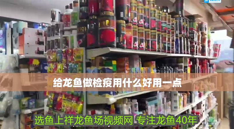 給龍魚做檢疫用什么好用一點