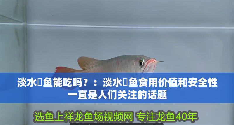 淡水魟魚能吃嗎？：淡水魟魚食用價值和安全性一直是人們關注的話題