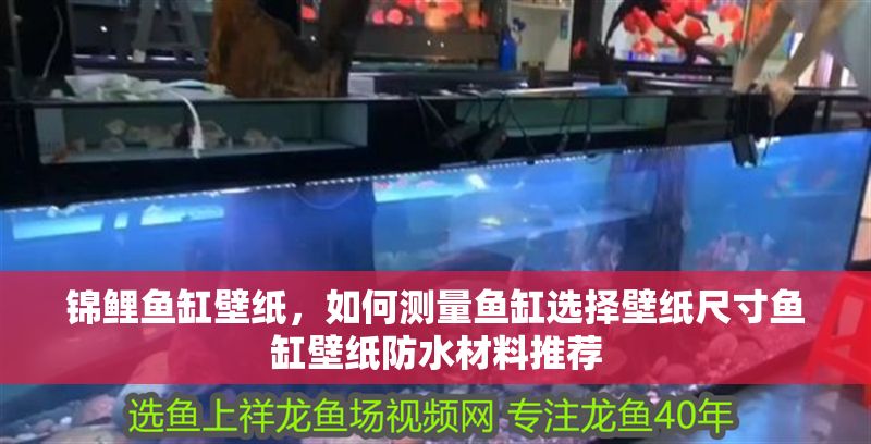 錦鯉魚缸壁紙，如何測量魚缸選擇壁紙尺寸魚缸壁紙防水材料推薦